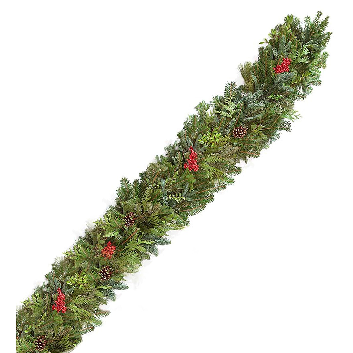 Holiday Woodland Evergreens 12'L Garland