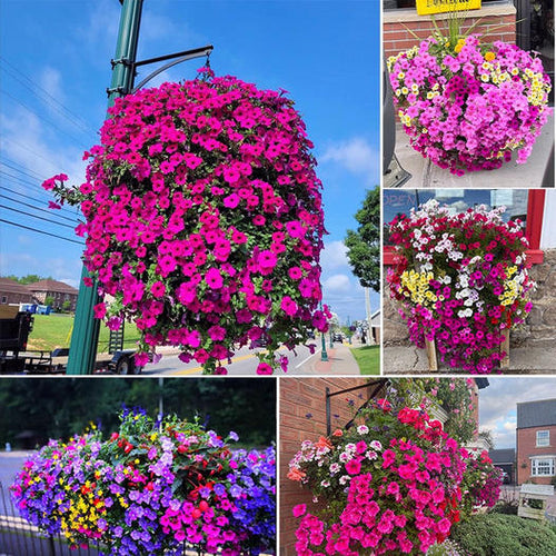 Last Day 75% OFF--💎UV Simulation Artificial flower