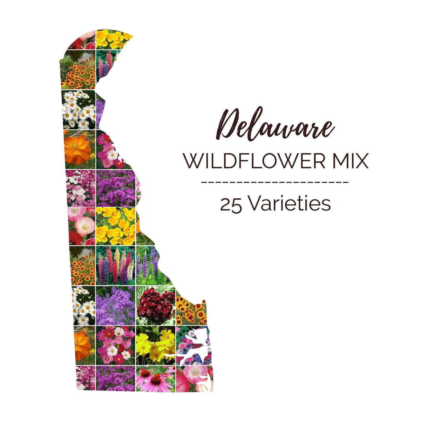 Delaware Wildflower Seed Mix