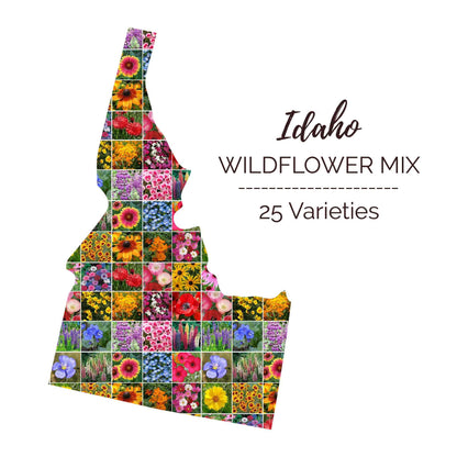 Idaho Wildflower Seed Mix