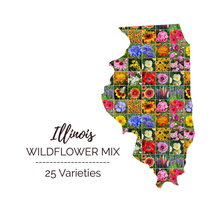 Illinois Wildflower Seed Mix