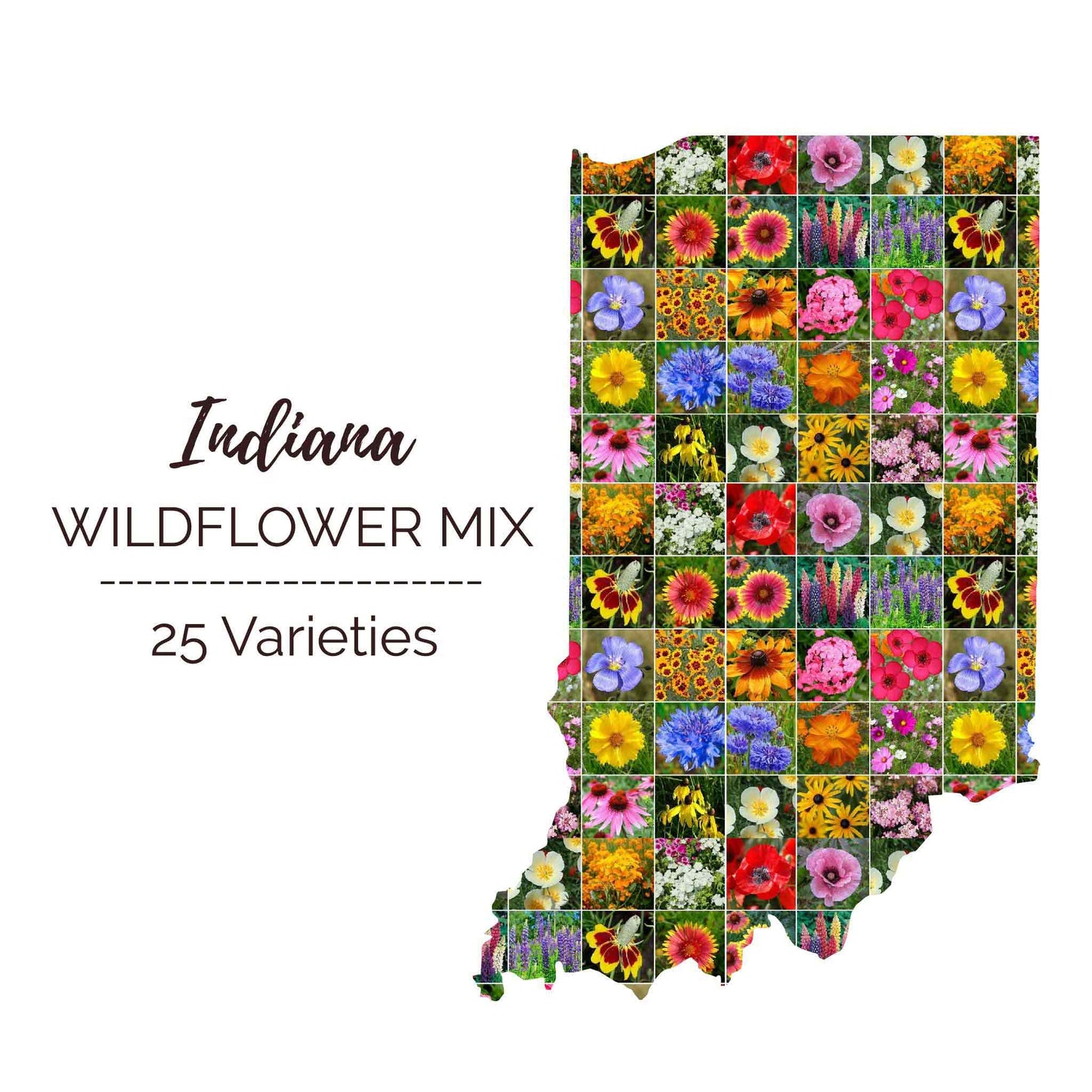 Indiana Wildflower Seed Mix