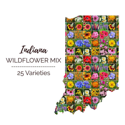Indiana Wildflower Seed Mix