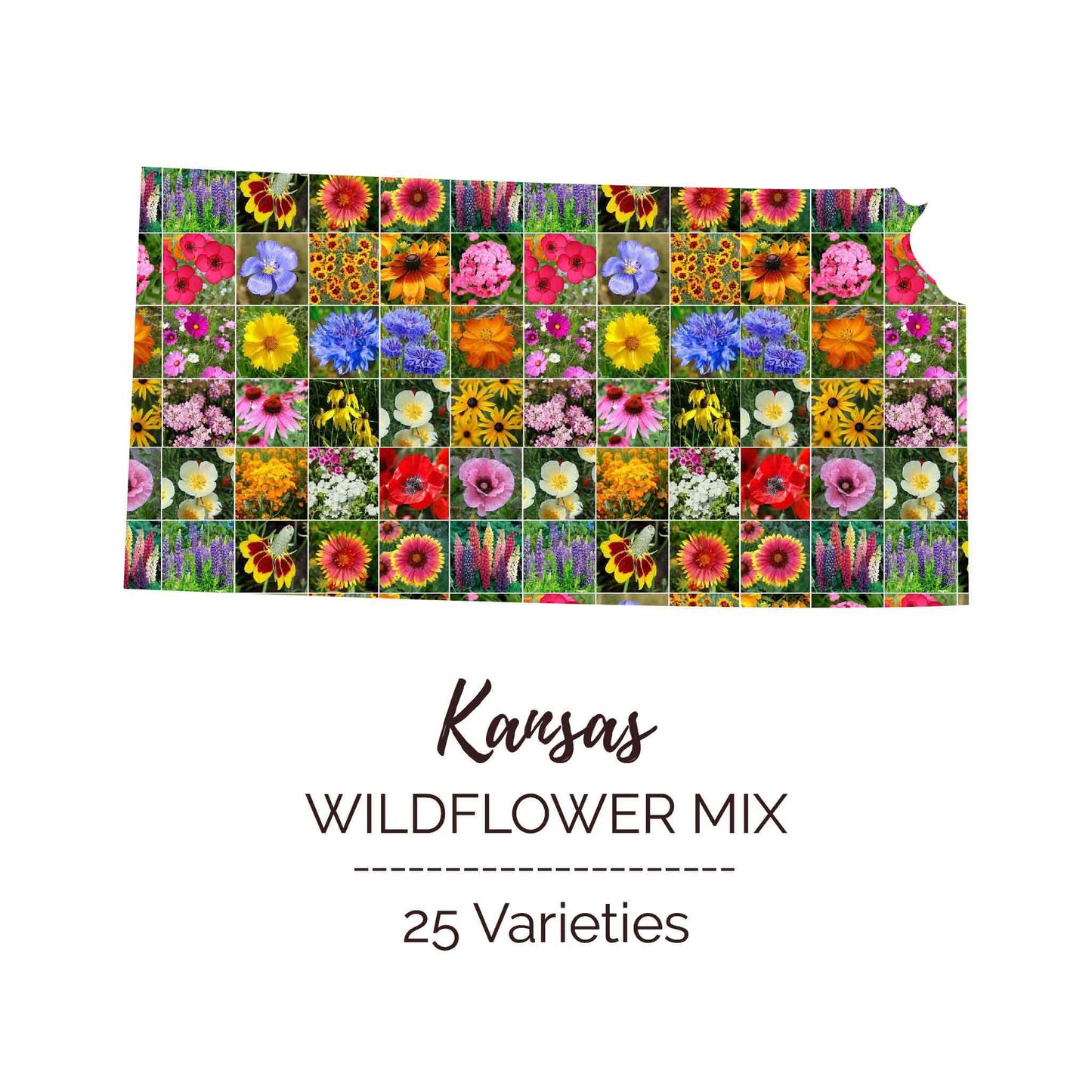 Kansas Wildflower Seed Mix