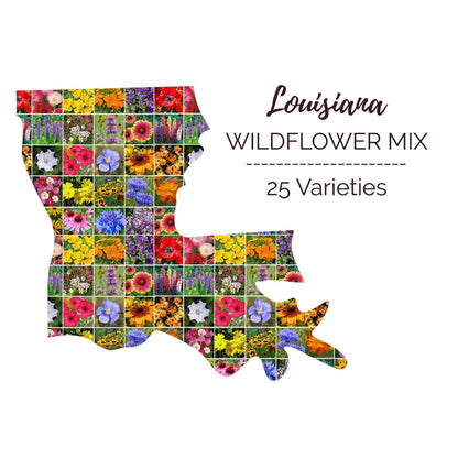 Louisiana Wildflower Seed Mix