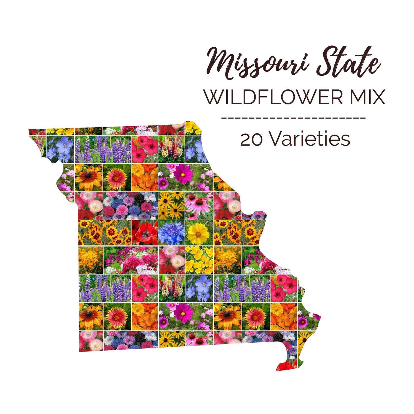 Missouri Wildflower Seed Mix