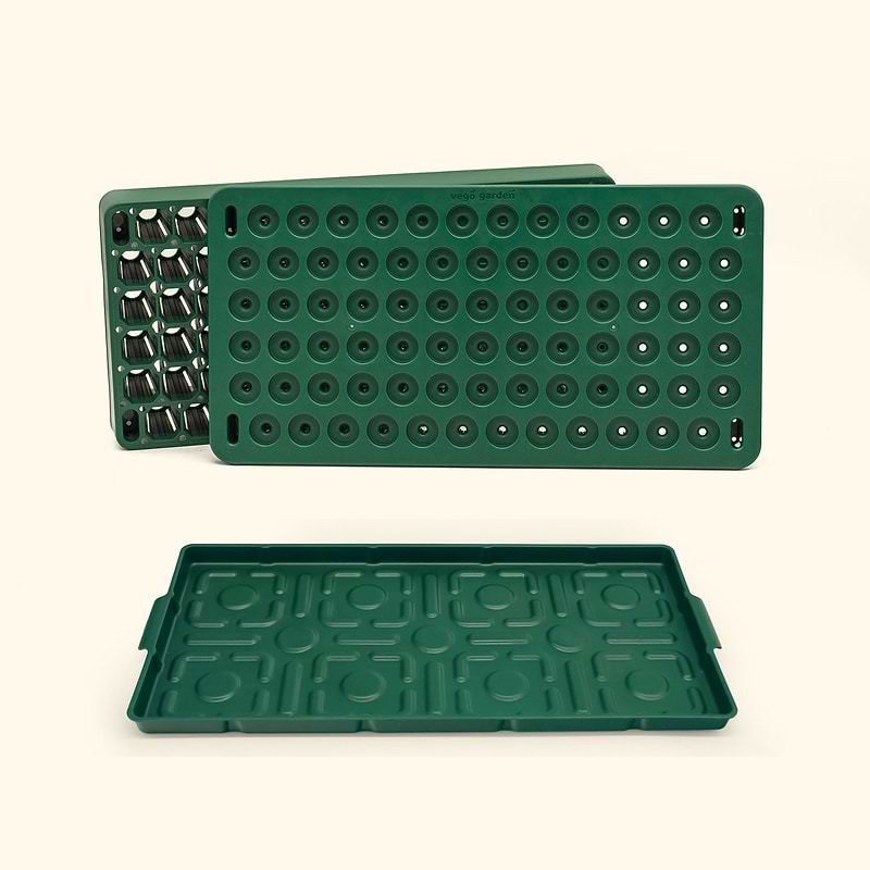 Free Plant 'n' Pop Seed Bundle Gift