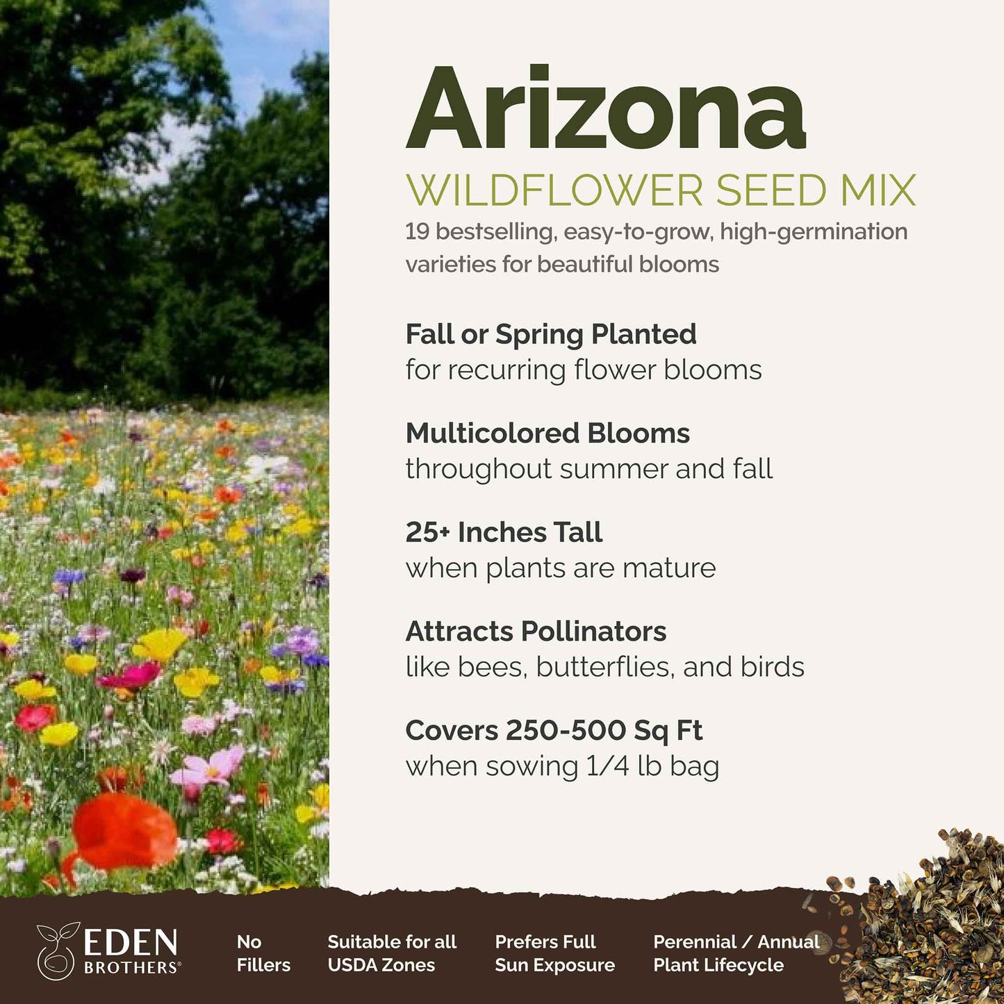 Arizona Wildflower Seed Mix
