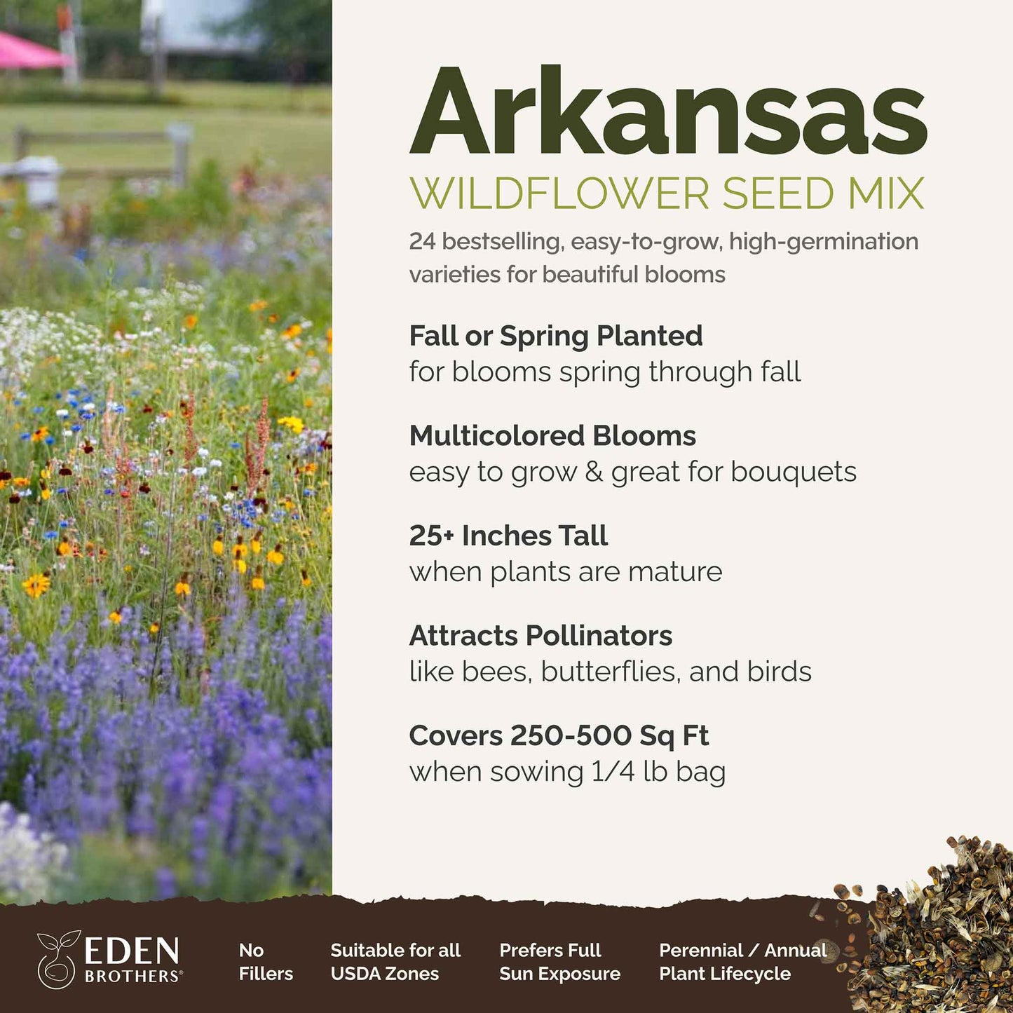 Arkansas Wildflower Seed Mix