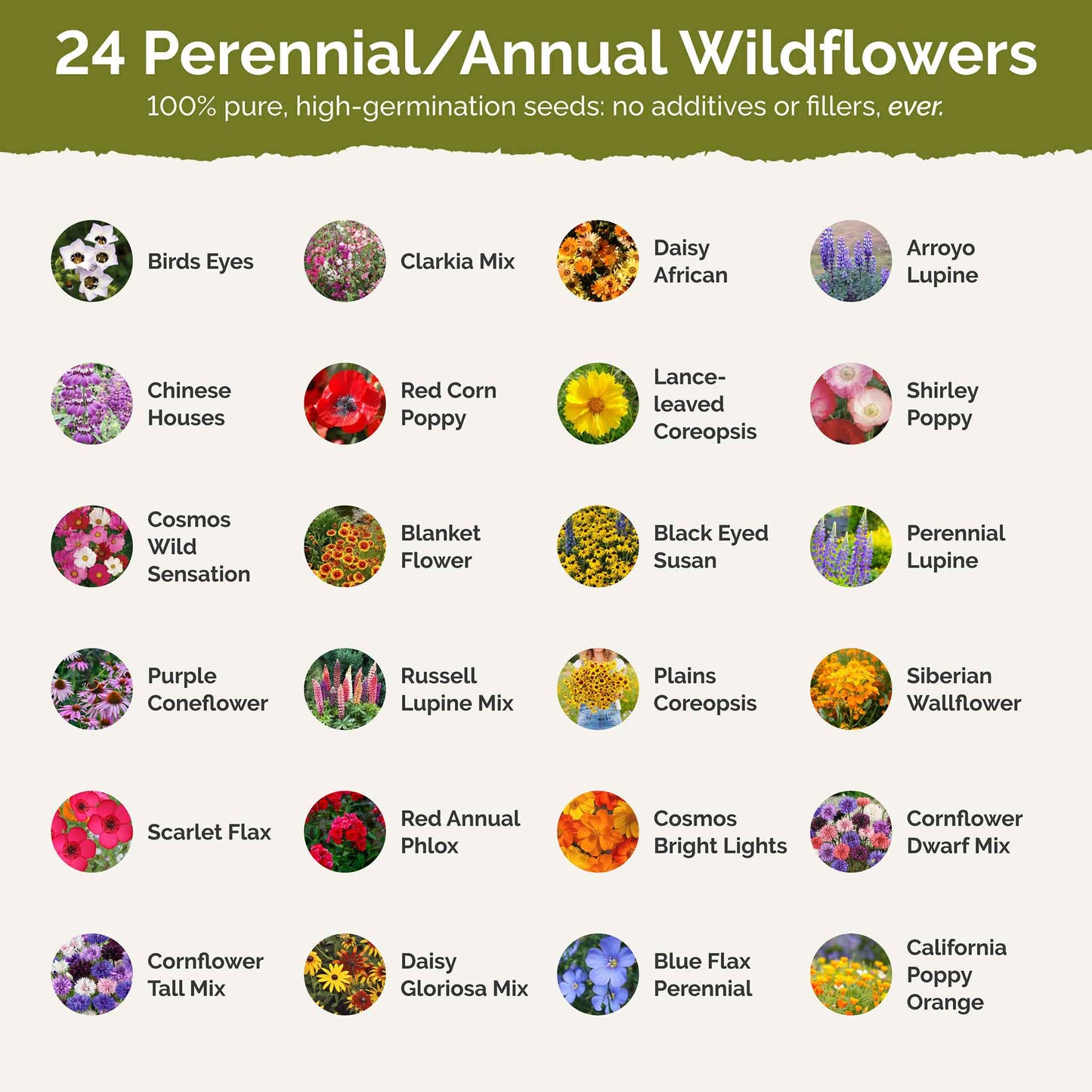Arkansas Wildflower Seed Mix