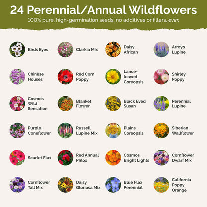 Arkansas Wildflower Seed Mix