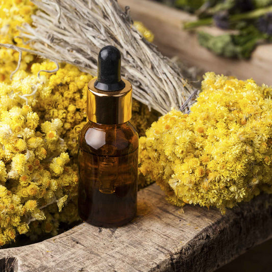 Curry Plant/Immortelle Seeds