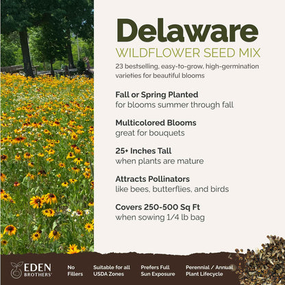 Delaware Wildflower Seed Mix