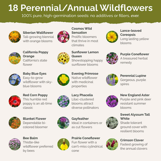 Hawaii Wildflower Seed Mix