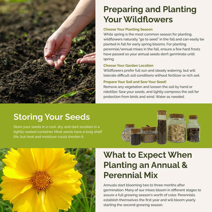 Hawaii Wildflower Seed Mix