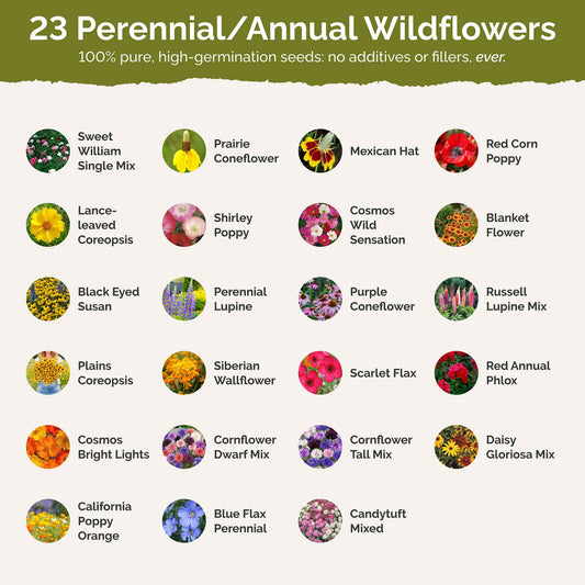Illinois Wildflower Seed Mix