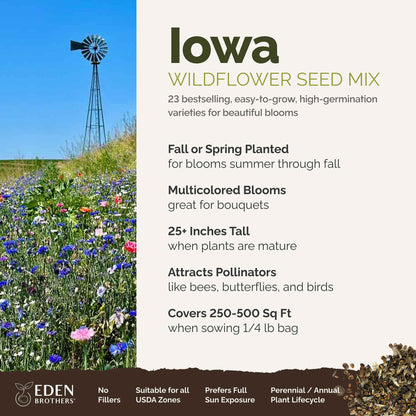 Iowa Wildflower Seed Mix