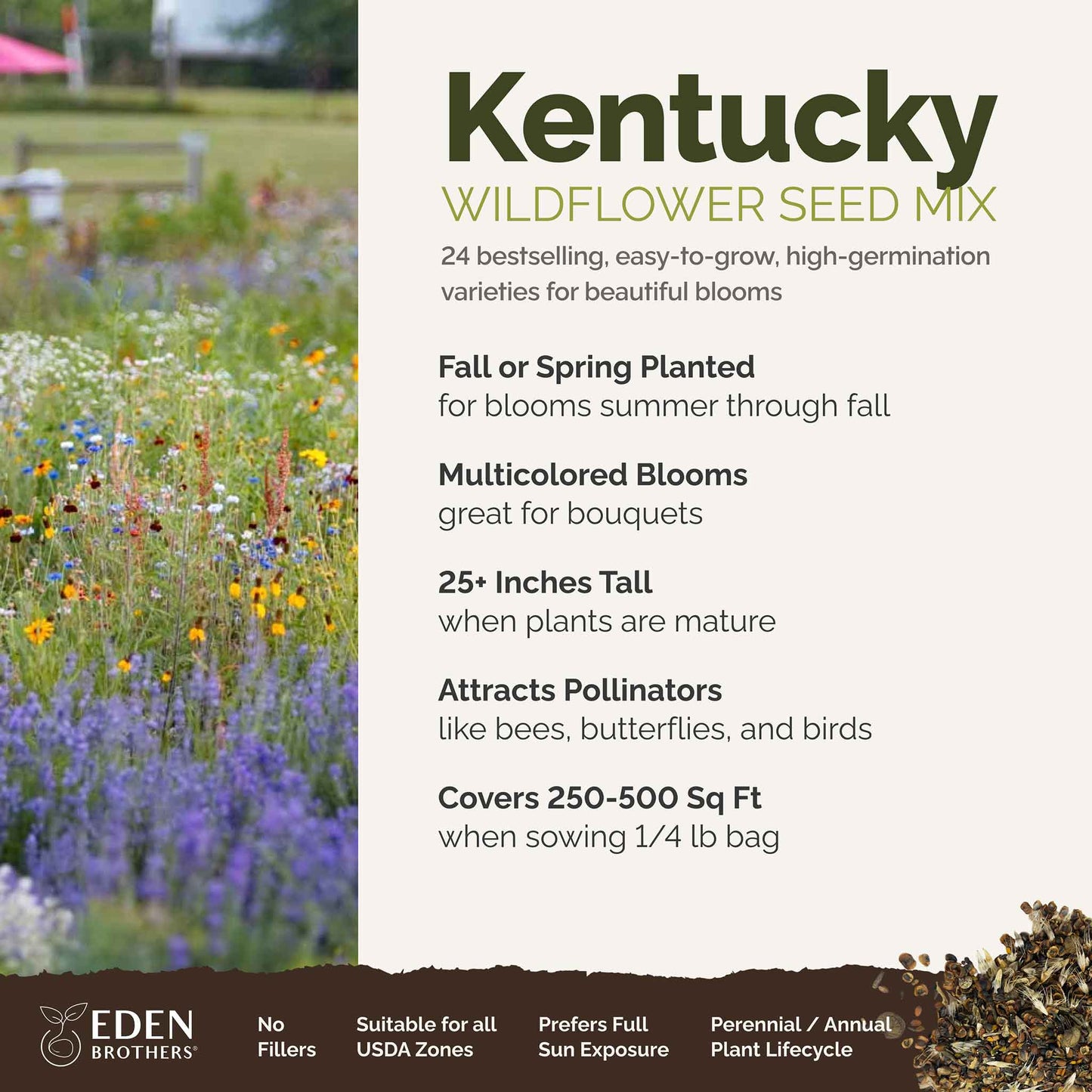 Kentucky Wildflower Seed Mix