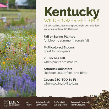 Kentucky Wildflower Seed Mix