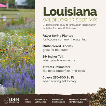 Louisiana Wildflower Seed Mix