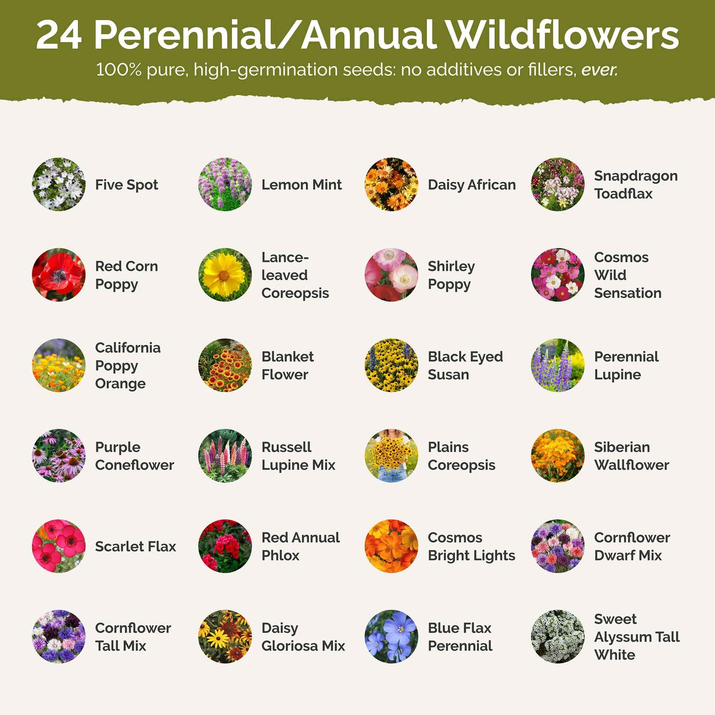 Louisiana Wildflower Seed Mix