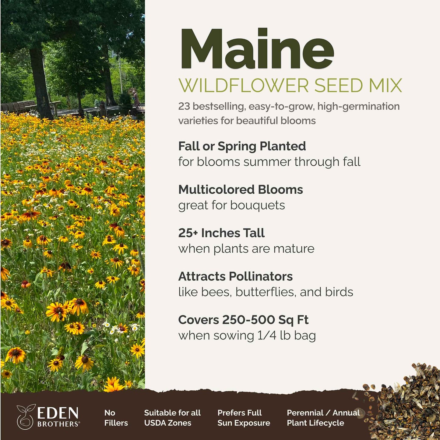 Maine Wildflower Seed Mix