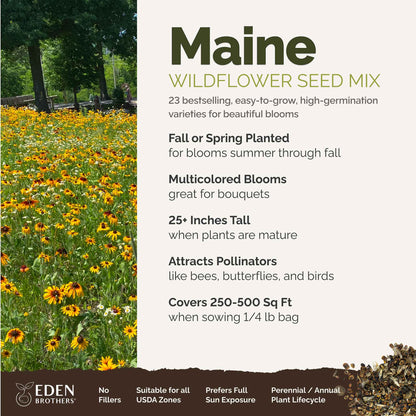 Maine Wildflower Seed Mix