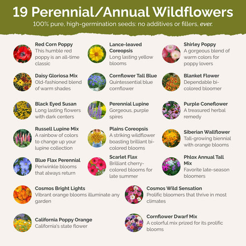 Missouri Wildflower Seed Mix