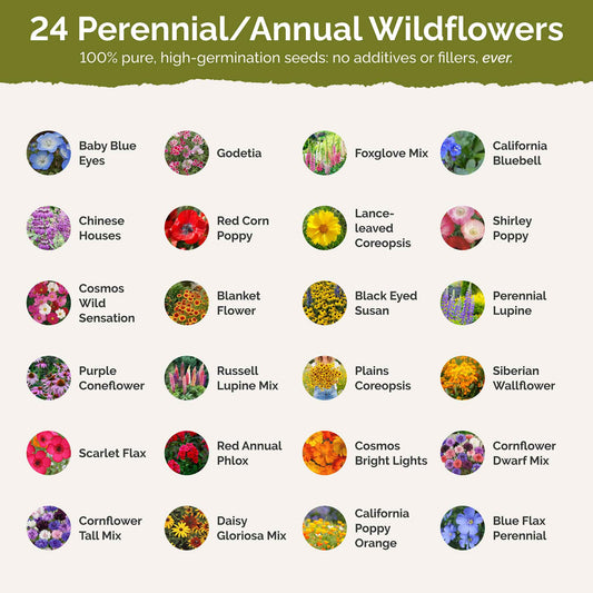 Montana Wildflower Seed Mix