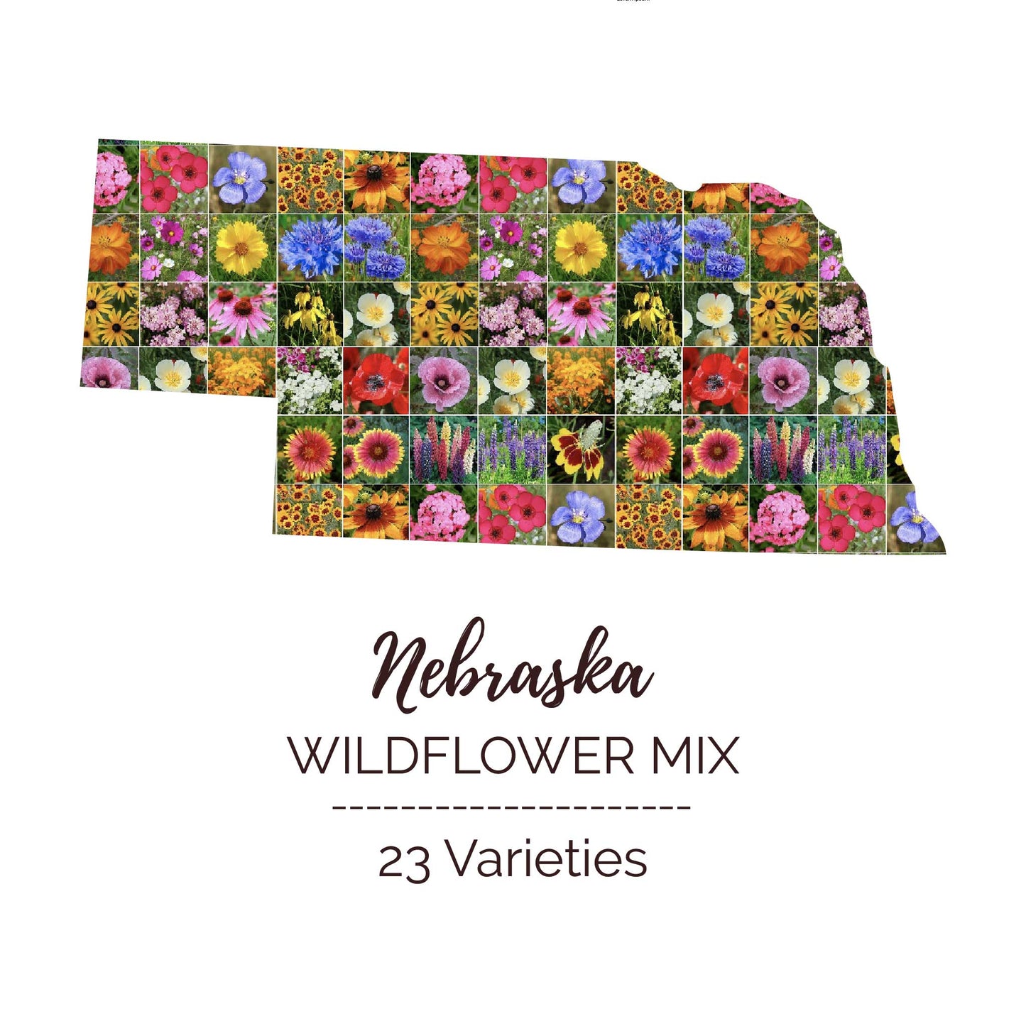 Nebraska Wildflower Seed Mix