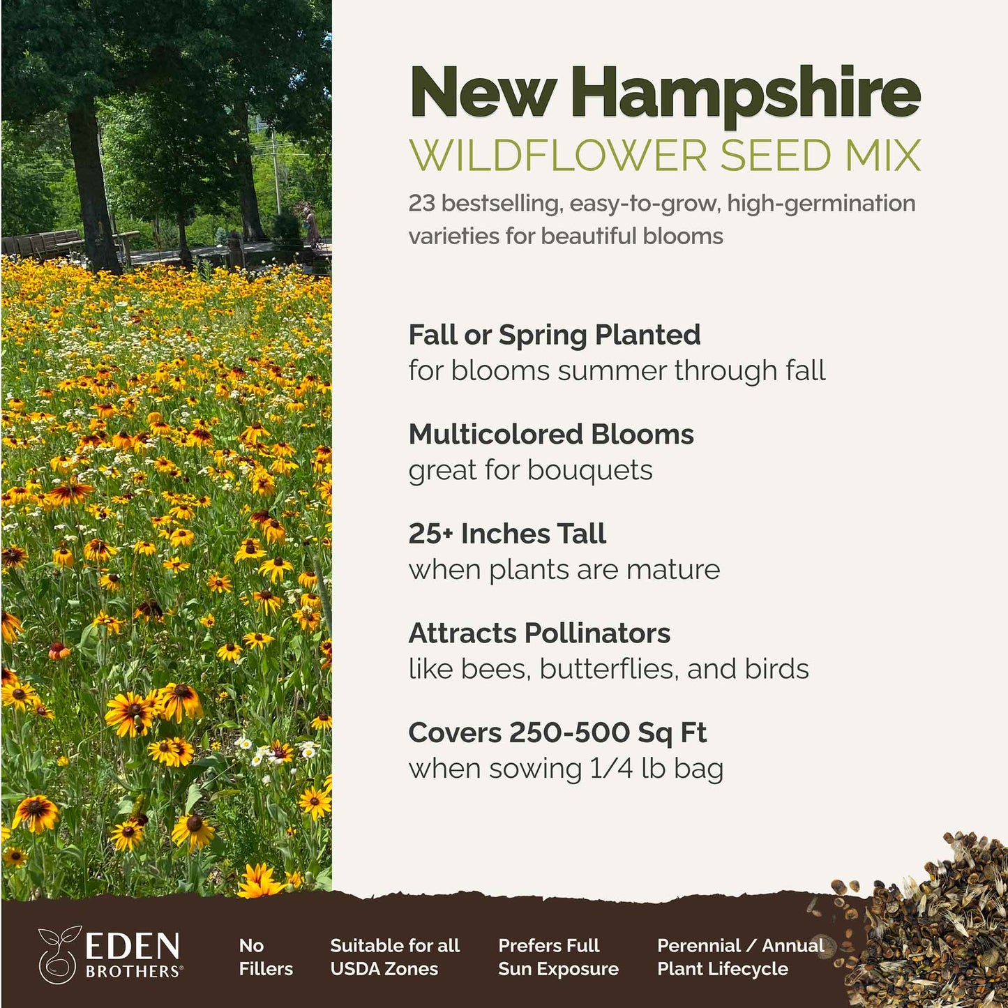New Hampshire Wildflower Seed Mix