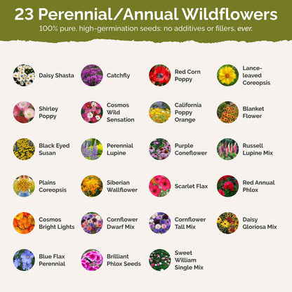 New Hampshire Wildflower Seed Mix