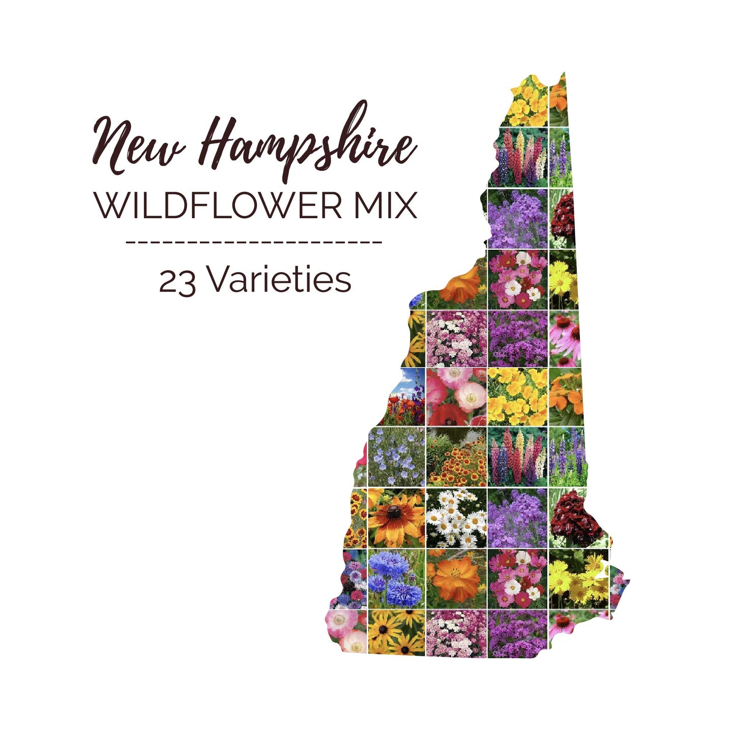 New Hampshire Wildflower Seed Mix