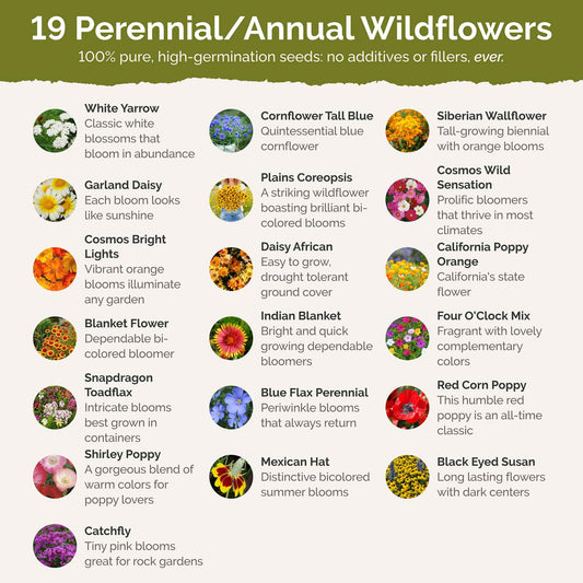 New Mexico Wildflower Seed Mix