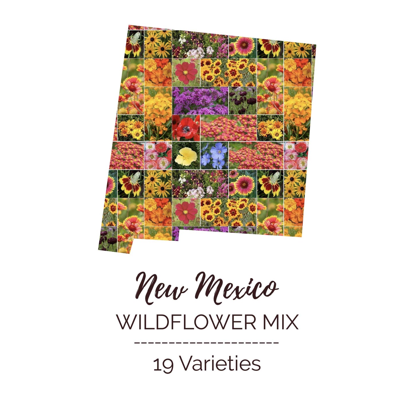 New Mexico Wildflower Seed Mix