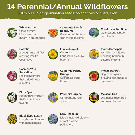 North Dakota Wildflower Seed Mix