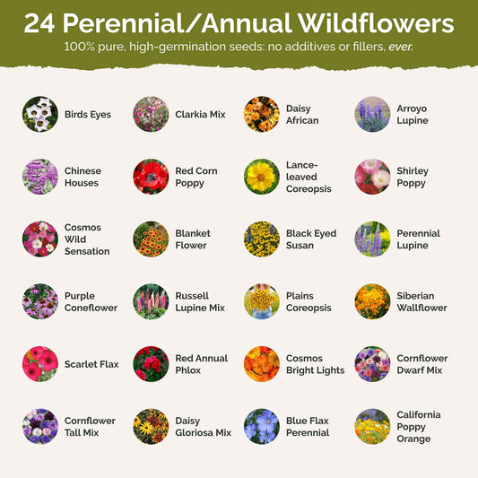Oklahoma Wildflower Seed Mix