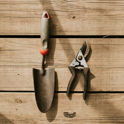 Succulent Serenity Pot