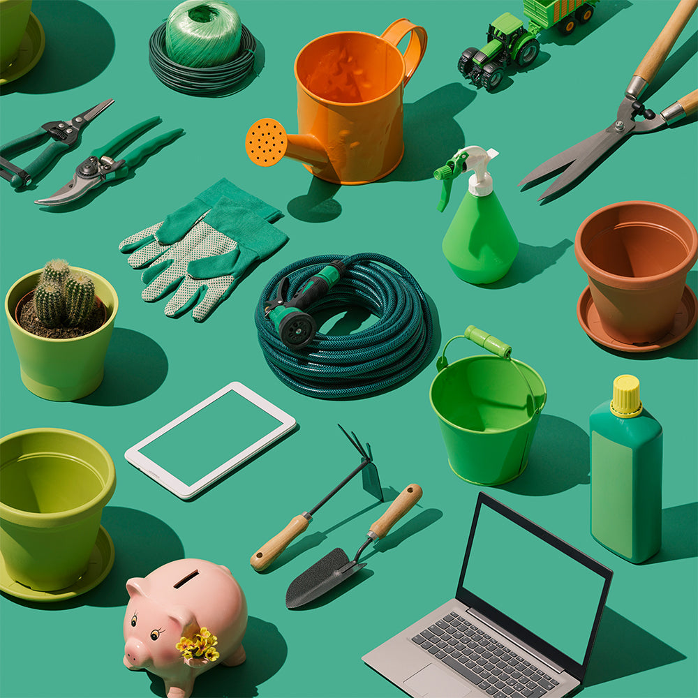 Cactus Collection Pot Set