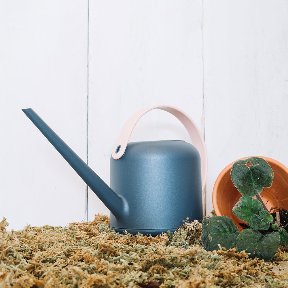 Succulent Serenity Pot