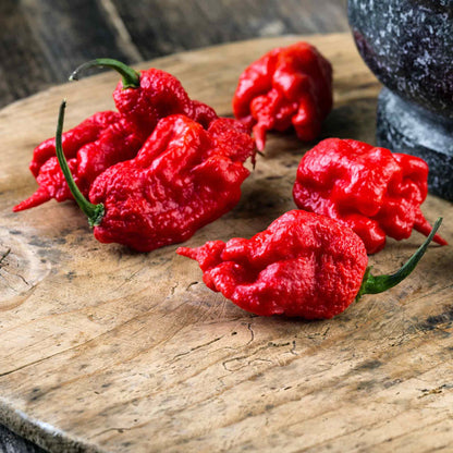 Hot Pepper Seeds - Carolina Reaper