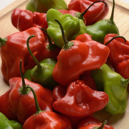 Hot Pepper Seeds - Mad Hatter