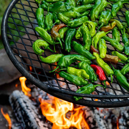 Hot Pepper Seeds - Shishito