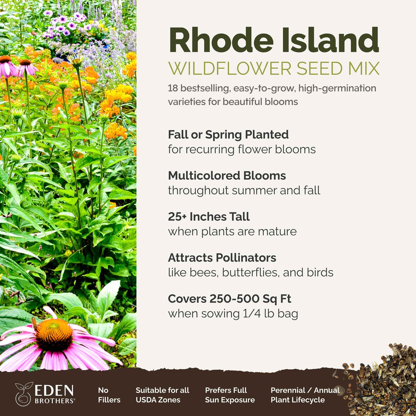 Rhode Island Wildflower Seed Mix