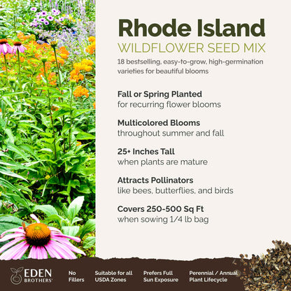 Rhode Island Wildflower Seed Mix