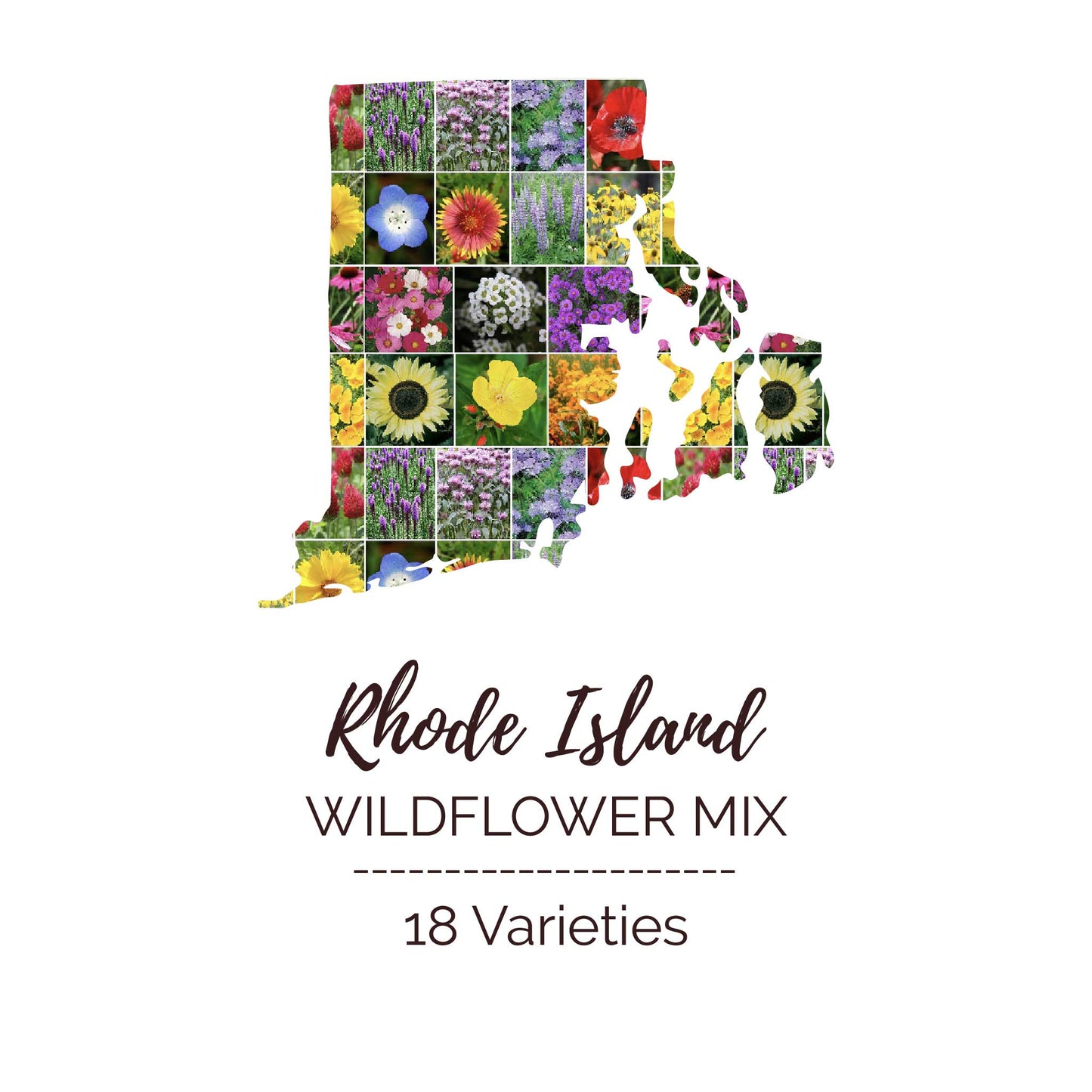 Rhode Island Wildflower Seed Mix