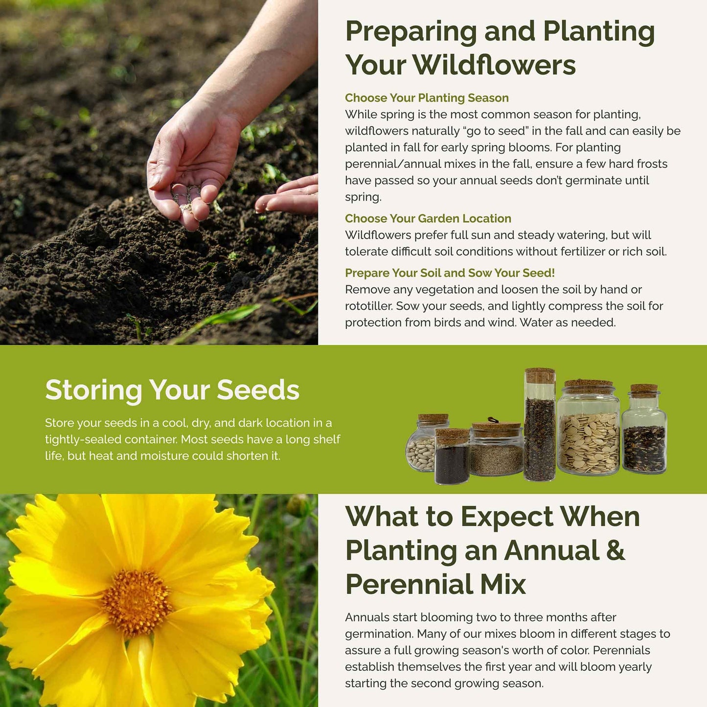 South Carolina Wildflower Seed Mix