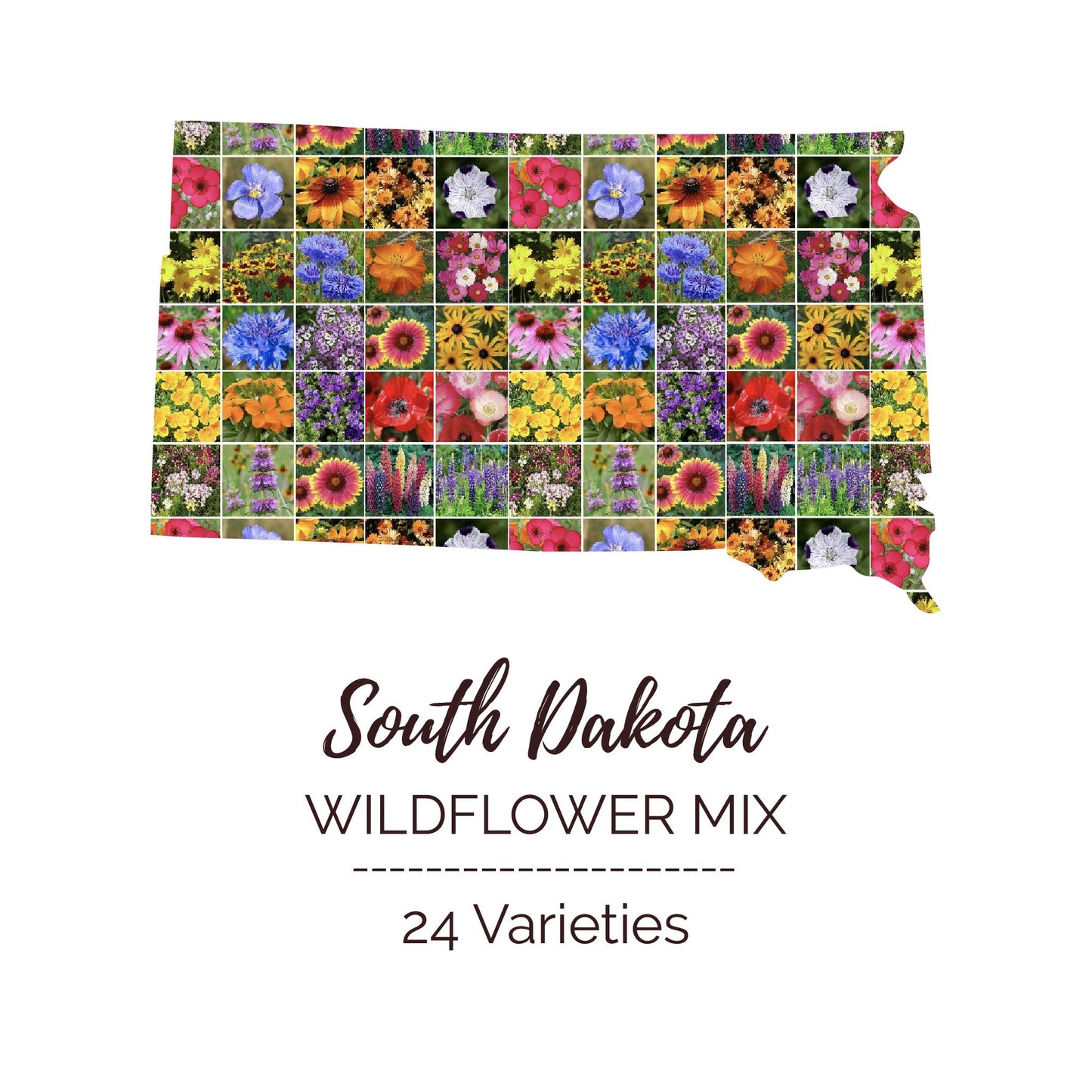 South Dakota Wildflower Seed Mix