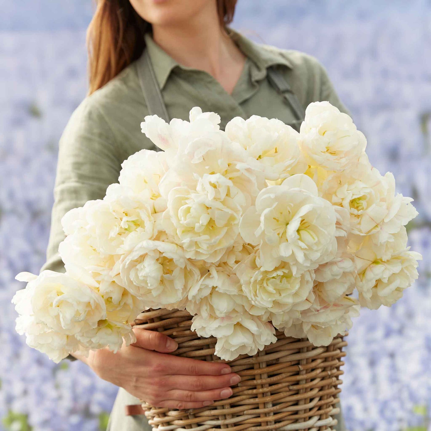 Tulip Bulbs - Diamond Sugar