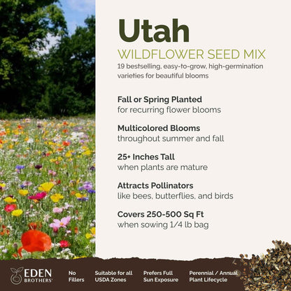 Utah Wildflower Seed Mix